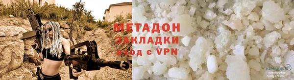 прущие грибы Вязники